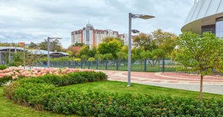 Профессиональное озеленение улиц в Рубцовске в октябре