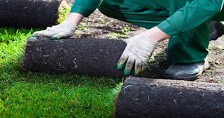 Укладка рулонного газона в Рубцовске: стоимость от 860 руб. за м2